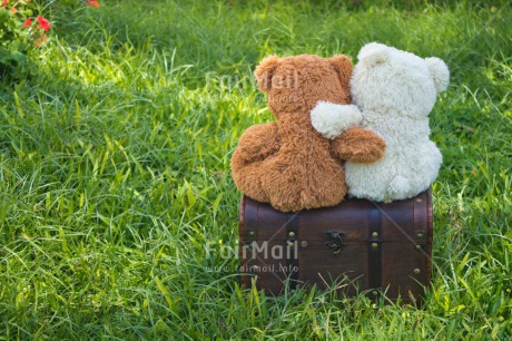 Fair Trade Photo Activity, Animals, Bear, Brother, Colour image, Friendship, Garden, Grass, Green, Holiday, Horizontal, Hug, Love, New home, Outdoor, Peru, Seasons, Sister, Sitting, South America, Summer, Travel, Travelling