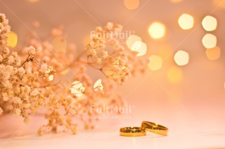 Fair Trade Photo Colour image, Flowers, Gold, Horizontal, Light, Love, Marriage, Peru, Ring, South America, Two, Wedding