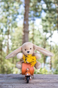 Fair Trade Photo Activity, Birthday, Chachapoyas, Colour image, Flower, Food and alimentation, Fruits, Holiday, Motorcycle, Nature, On the road, Orange, Peluche, Peru, South America, Transport, Travel, Travelling, Tree, Vertical, Vespa, Yellow