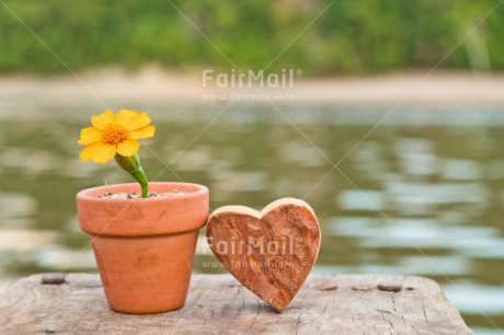 Fair Trade Photo Birthday, Colour image, Fathers day, Flower, Friendship, Heart, Horizontal, Love, Mothers day, Peru, South America, Thank you, Thinking of you, Valentines day, Viaje tarapoto. jar, Yellow