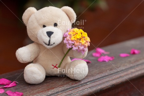 Fair Trade Photo Animals, Bear, Birthday, Colour image, Flower, Love, Peluche, Peru, Pink, Sorry, South America, Teddybear, Thank you, Thinking of you, Valentines day, Welcome home, Yellow
