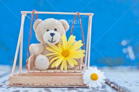 Fair Trade Photo Animals, Bear, Birthday, Blue, Colour image, Daisy, Flower, Love, Peluche, Peru, Sorry, South America, Swing, Teddybear, Thank you, Thinking of you, Valentines day, Welcome home