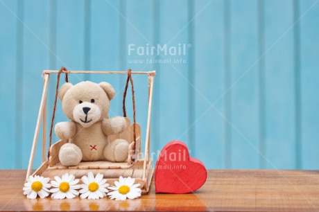 Fair Trade Photo Animals, Bear, Birthday, Blue, Colour image, Daisy, Flower, Heart, Love, Peluche, Peru, Red, Sorry, South America, Swing, Teddybear, Thank you, Thinking of you, Valentines day, Welcome home