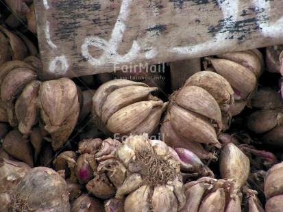 Fair Trade Photo Closeup, Colour image, Day, Food and alimentation, Garlic, Horizontal, Indoor, Market, Peru, South America