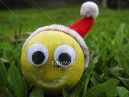 Fair Trade Photo Activity, Christmas, Colour image, Day, Food and alimentation, Fruits, Funny, Grass, Green, Hat, Horizontal, Lemon, Looking at camera, Outdoor, Peru, Red, South America, Tabletop, Yellow