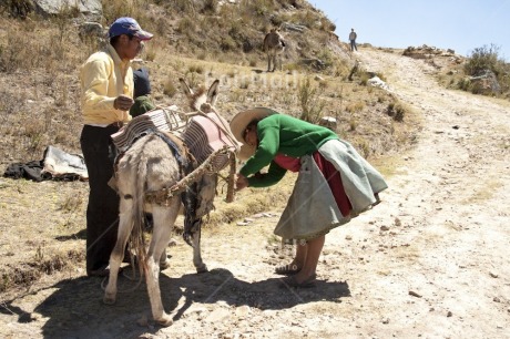 Fair Trade Photo Activity, Agriculture, Animals, Carrying, Clothing, Colour image, Cooperation, Day, Donkey, Horizontal, Latin, Mountain, One man, One woman, Outdoor, People, Peru, Rural, South America, Traditional clothing, Transport, Travel