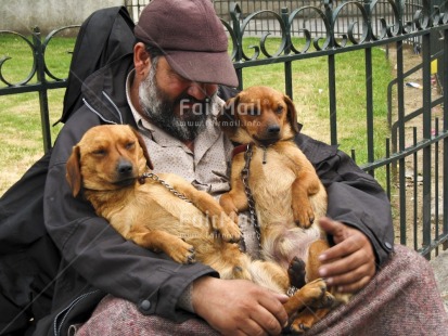 Fair Trade Photo Activity, Animals, Care, Colour image, Dailylife, Dog, Funny, Horizontal, Love, One man, Outdoor, People, Peru, Portrait halfbody, Relaxing, Sitting, Sleeping, South America, Streetlife