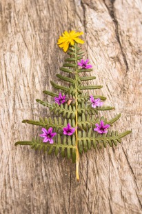 Fair Trade Photo Chachapoyas, Christmas, Christmas tree, Colour, Colour image, Flower, Leaf, Nature, Object, Peru, Place, South America, Vertical, Yellow