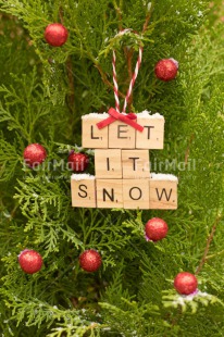Fair Trade Photo Christmas, Christmas ball, Christmas decoration, Christmas tree, Colour, Colour image, Green, Letter, Object, Place, Red, South America, Text, Vertical