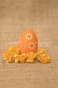 Fair Trade Photo Adjective, Easter, Egg, Food and alimentation, Fruits, Orange, Vertical
