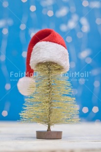 Fair Trade Photo Activity, Adjective, Blue, Celebrating, Christmas, Christmas decoration, Christmas hat, Christmas tree, Colour, Light, Nature, Object, People, Present, Red, Santaclaus, Vertical