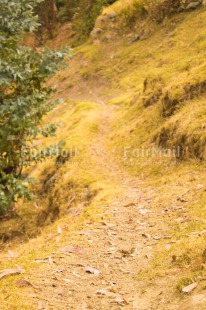 Fair Trade Photo Colour image, Day, Mountain, Nature, Outdoor, Path, Peru, South America, Vertical