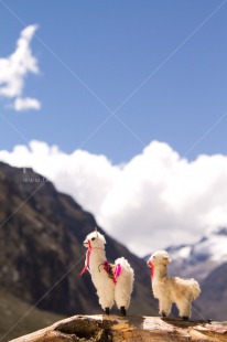 Fair Trade Photo Activity, Animals, Colour image, Day, Llama, Mountain, Nature, Outdoor, Peru, South America, Toy, Travel, Travelling, Vertical