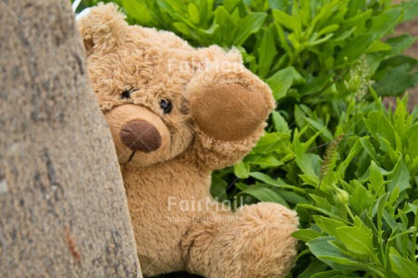 Fair Trade Photo Animals, Bear, Birthday, Brother, Colour image, Fathers day, Friendship, Get well soon, Grass, Green, Love, Mothers day, Peluche, Peru, Sorry, South America, Strength, Teddybear, Thank you, Thinking of you, Valentines day, Welcome home, Well done