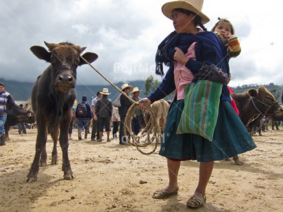 Fair Trade Photo Activity, Agriculture, Animals, Baby, Cow, Day, Farmer, Horizontal, Looking away, Market, Mother, Outdoor, People, Peru, Portrait fullbody, South America