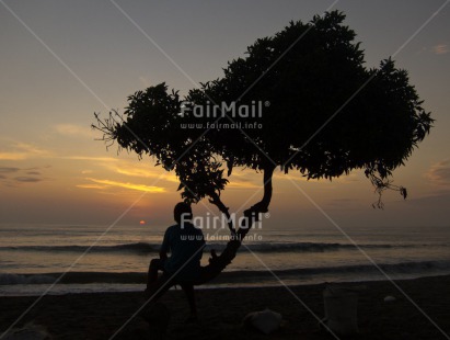 Fair Trade Photo Backlit, Beach, Colour image, Emotions, Evening, Horizontal, Loneliness, One boy, Outdoor, People, Peru, Scenic, Silhouette, Sky, South America, Sunset, Thinking of you, Travel, Tree