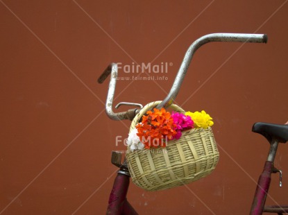Fair Trade Photo Basket, Bicycle, Closeup, Colour image, Day, Flower, Friendship, Horizontal, Love, Mothers day, Outdoor, Peru, South America, Transport