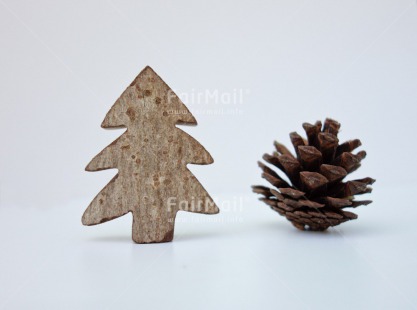 Fair Trade Photo Christmas, Closeup, Colour image, Horizontal, Peru, Pine, South America, Studio, Tree, White, Wood