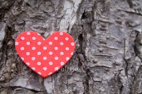 Fair Trade Photo Closeup, Colour image, Heart, Love, Peru, Red, South America, Tree, Valentines day