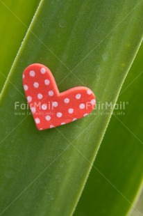 Fair Trade Photo Closeup, Colour image, Green, Heart, Leaf, Love, Peru, Red, South America, Valentines day