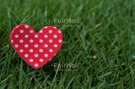 Fair Trade Photo Closeup, Colour image, Grass, Green, Heart, Love, Marriage, Peru, Red, South America, Valentines day