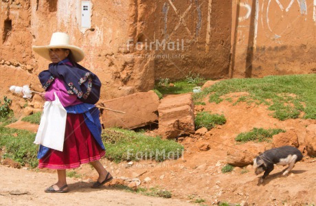 Fair Trade Photo Activity, Agriculture, Animals, Colour image, Day, Ethnic-folklore, Funny, Hat, Horizontal, Latin, One woman, Outdoor, People, Peru, Pig, Rural, Sombrero, South America, Walking, Wool