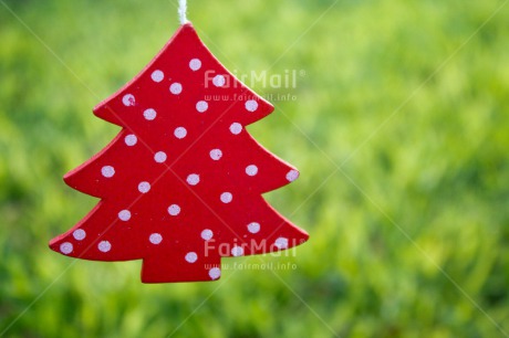 Fair Trade Photo Christmas, Closeup, Colour image, Green, Horizontal, Peru, Red, South America, Tree, White