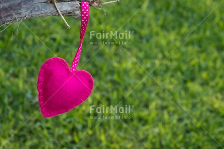 Fair Trade Photo Closeup, Colour image, Green, Heart, Horizontal, Love, Mothers day, Peru, Pink, South America, Valentines day