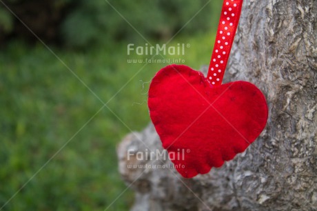 Fair Trade Photo Closeup, Colour image, Green, Heart, Horizontal, Love, Mothers day, Peru, Red, South America, Tree, Valentines day