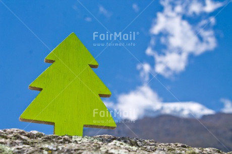 Fair Trade Photo Blue, Christmas, Colour image, Green, Horizontal, Peru, South America, Tree