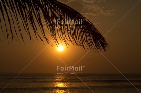 Fair Trade Photo Beach, Colour image, Condolence-Sympathy, Horizontal, Peru, Scenic, Sea, South America, Sunset, Travel, Tree
