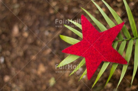 Fair Trade Photo Christmas, Closeup, Colour image, Horizontal, Peru, Red, Shooting style, South America, Star