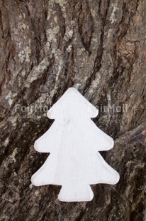 Fair Trade Photo Christmas, Closeup, Colour image, Peru, Shooting style, South America, Tree, Vertical, White