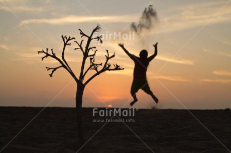 Fair Trade Photo Activity, Colour image, Emotions, Evening, Horizontal, Jumping, Loneliness, Miss you, One boy, Outdoor, People, Peru, Shooting style, Silhouette, South America, Sunset, Thinking, Thinking of you, Tree