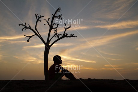 Fair Trade Photo Colour image, Emotions, Evening, Horizontal, Loneliness, Miss you, One boy, Outdoor, People, Peru, Shooting style, Silhouette, South America, Sunset, Thinking, Thinking of you, Tree