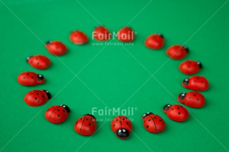 Fair Trade Photo Colour image, Exams, Good luck, Green, Horizontal, Ladybug, Peru, Red, South America