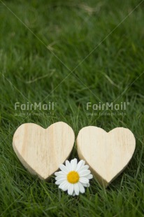 Fair Trade Photo Colour image, Heart, Love, Marriage, Peru, South America, Valentines day, Vertical, Wedding