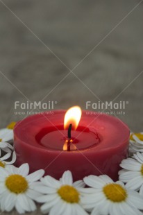Fair Trade Photo Candle, Christmas, Colour image, Condolence-Sympathy, Daisy, Flame, Flower, Love, Peru, Red, South America, Thinking of you, Vertical