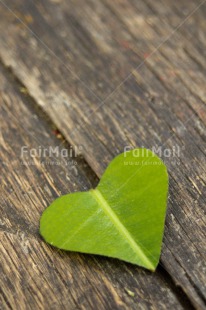 Fair Trade Photo Blue, Colour image, Green, Heart, Leaf, Love, Mothers day, Peru, Sky, South America, Valentines day, Vertical, Wood