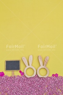 Fair Trade Photo Adjective, Animals, Birthday, Blackboard, Brother, Colour, Congratulations, Easter, Flower, Mother, Mothers day, Nature, Object, People, Pink, Rabbit, Sister, Thinking of you, Vertical, Yellow