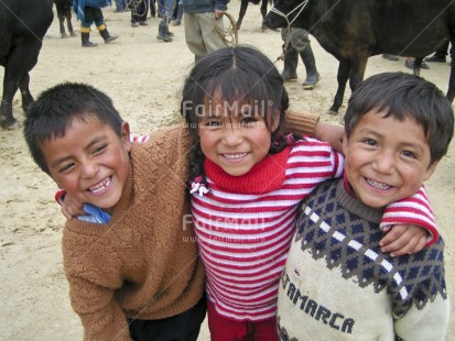 Fair Trade Photo Activity, Animals, Colour image, Cow, Dailylife, Day, Friendship, Group of children, Horizontal, Hugging, Looking at camera, Multi-coloured, Outdoor, People, Peru, Portrait halfbody, Rural, Smile, Smiling, South America, Streetlife, Together