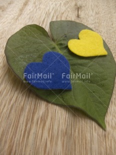 Fair Trade Photo Colour image, Heart, Love, Mothers day, Multi-coloured, Nature, Perspective, Peru, South America, Tabletop, Valentines day, Vertical