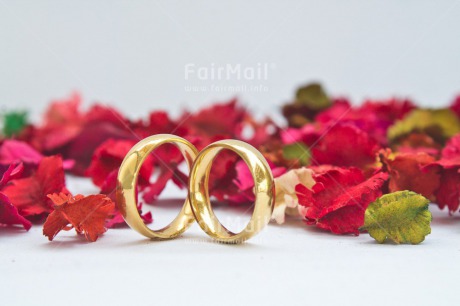 Fair Trade Photo Colour image, Flowers, Gold, Horizontal, Love, Marriage, Peru, Red, Ring, South America, Two, Wedding, White