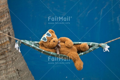 Fair Trade Photo Activity, Animals, Bear, Birthday, Blue, Colour image, Congratulations, Fathers day, Friendship, Get well soon, Hammock, Holiday, Mothers day, New beginning, Peluche, Peru, Relax, Relaxing, Sleeping, South America, Teddybear, Thinking of you, Travel