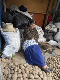 Fair Trade Photo 55-60 years, Activity, Casual clothing, Clothing, Colour image, Entrepreneurship, Food and alimentation, Funny, Latin, Market, Old age, One woman, People, Peru, Potatoe, Relaxing, Selling, Sitting, Sleeping, Sombrero, South America, Streetlife, Vertical