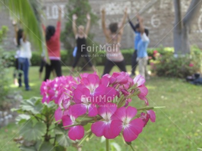 Fair Trade Photo Activity, Colour image, Colourful, Flower, Focus on foreground, Group of children, Horizontal, Nature, Outdoor, People, Peru, South America, Spirituality, Wellness, Yoga
