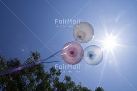 Fair Trade Photo Balloon, Birthday, Colour image, Horizontal, Invitation, Low angle view, Party, Peru, Seasons, Sky, South America, Summer, Tree