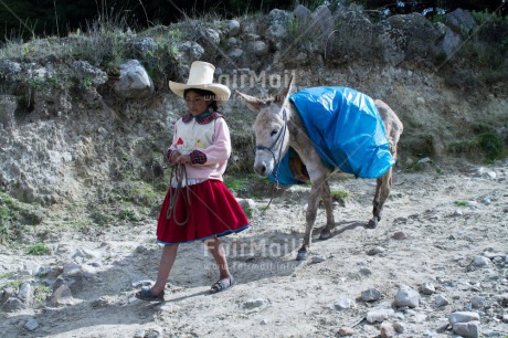 Fair Trade Photo Activity, Agriculture, Animals, Care, Child labour, Clothing, Day, Donkey, Ethnic-folklore, Horizontal, Mountain, One girl, Outdoor, People, Portrait fullbody, Rural, Sombrero, Traditional clothing, Walking