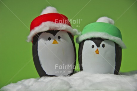 Fair Trade Photo Animals, Christmas, Colour image, Funny, Horizontal, Peru, Pinguin, South America