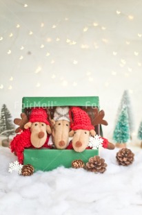 Fair Trade Photo Activity, Adjective, Animals, Box, Celebrating, Christmas, Christmas decoration, Christmas tree, Colour, Gift, Green, Light, Nature, Object, Pine cone, Present, Red, Reindeer, Snow, Surprise, Vertical